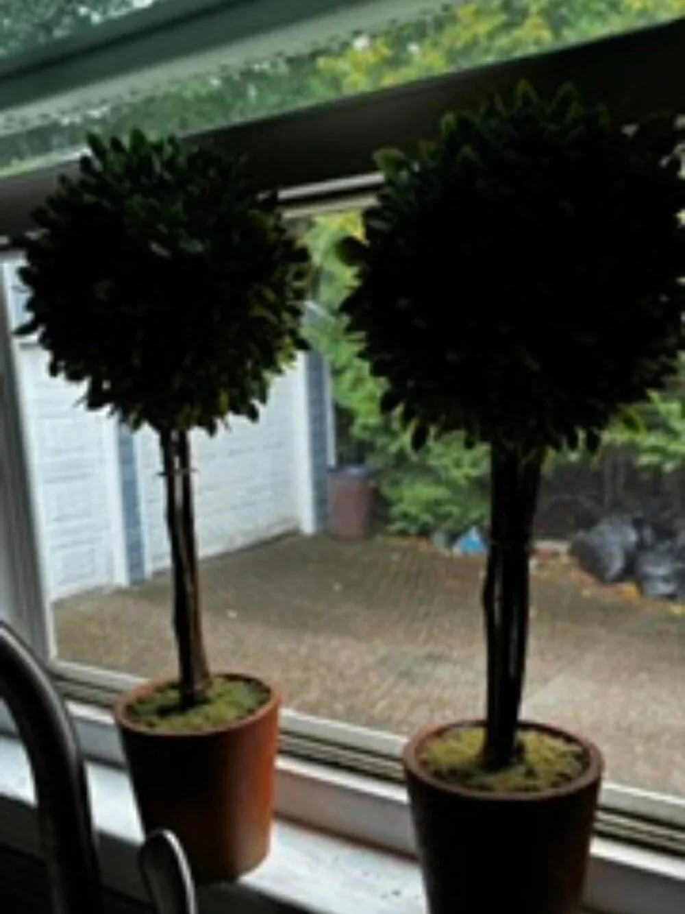 Twin Faux Boxwoods, 14